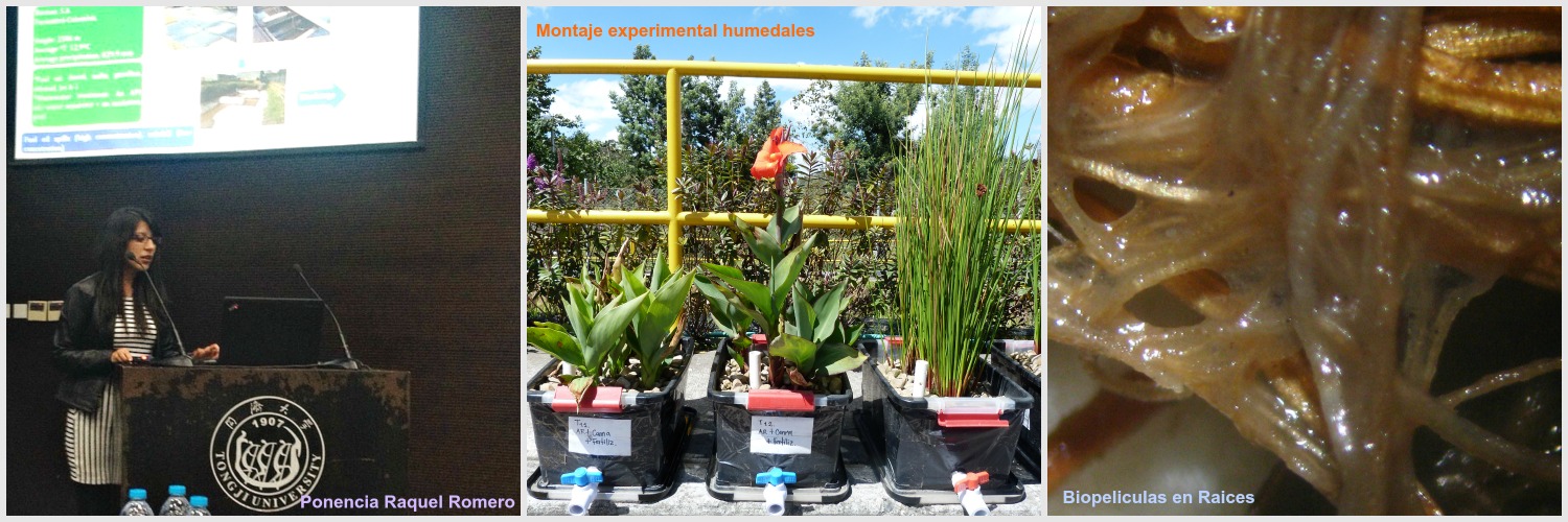 grupo de investigación en evento